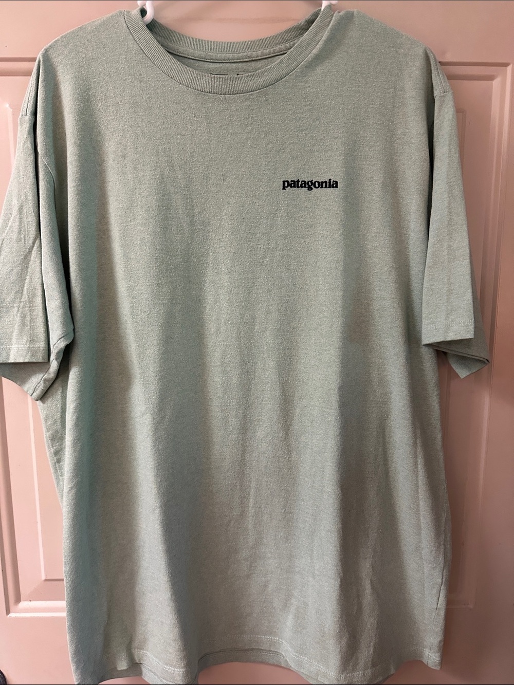 🎉HP🎉 Patagonia Men's Short Sleeve T-Shirt in Sage Green with Black Logo